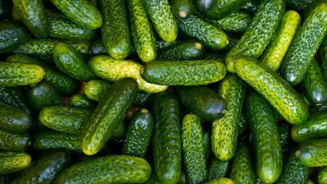 'Video thumbnail for Keep Cucumbers Fresh: Best Storage Methods'