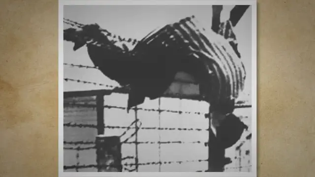 Video thumbnail for Majdanek