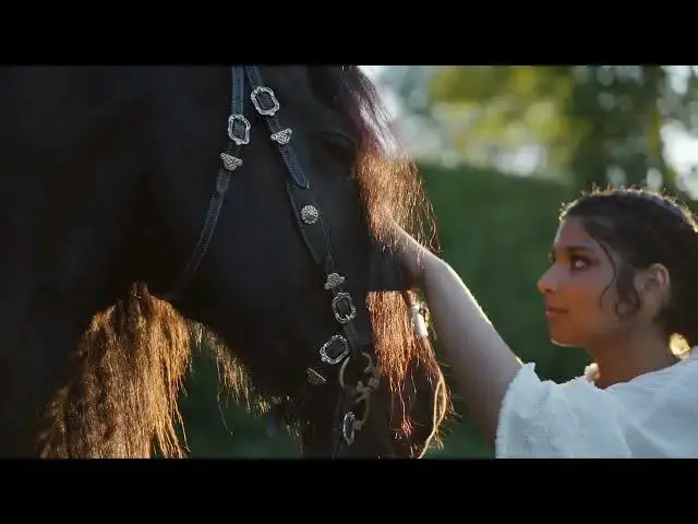 Video thumbnail for Soft Moments: A Gentle Touch Between Human and Horse