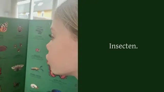 Video thumbnail for Met dit prentenboek leer je kinderen alles over insecten: