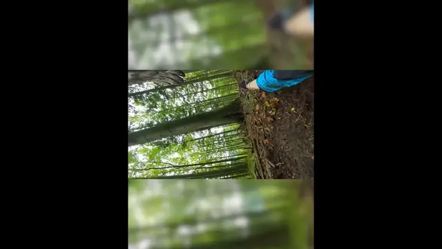 'Video thumbnail for Looser, funny #mtb #crash #shorts'