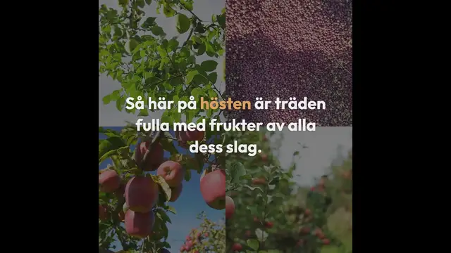 Video thumbnail for Päronkaka