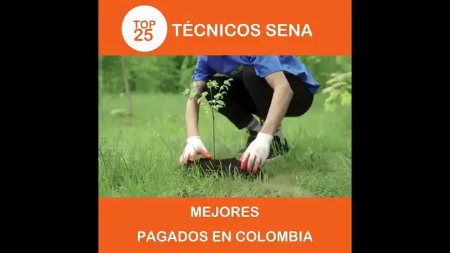 'Video thumbnail for top 25 tecnicos sena mejores pagados en colombia'