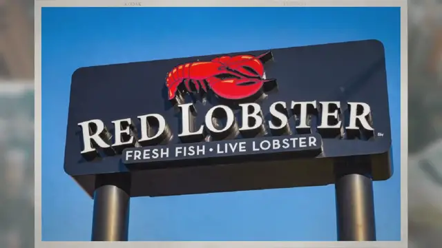Video thumbnail for Red Lobster Coupons & Deals: Endless Shrimp And More