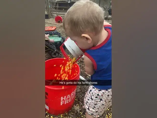 Video thumbnail for Gotta earn his keep #FarmChores #Toddler #ToddlerMom #Parenthood #Group7
