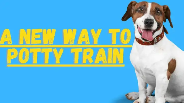 Video thumbnail for Potty Training a Jack Russell Terrier (A New Technique)