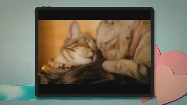 'Video thumbnail for 🐱 WHAT To Do If Your Cat LICKS Or EATS TOOTHPASTE?'