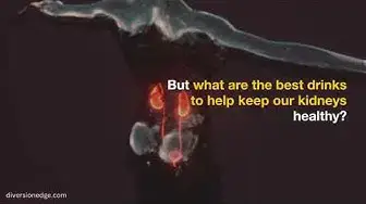Video thumbnail for What is the Best Thing to Drink for your Kidneys? | Healthy drinks to make your kidneys happy