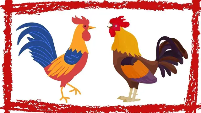 Video thumbnail for Rooster Crowing | Rooster Crowing Sound Effect | Rooster Video | Rooster Crowing Loud