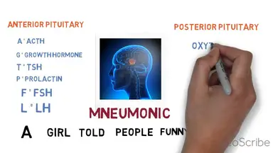 'Video thumbnail for Pituitary Basics'
