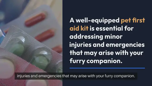 Video thumbnail for Pet First Aid Kit Essentials