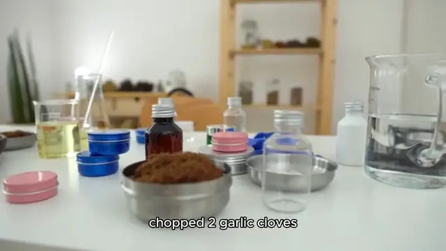 Video thumbnail for Roasted Chestnut Soup Recipe