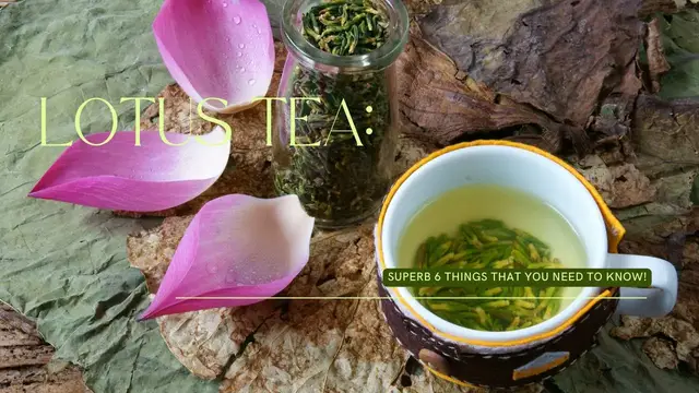 Video thumbnail for Lotus Tea: Superb 6 Things That You Need To Know!