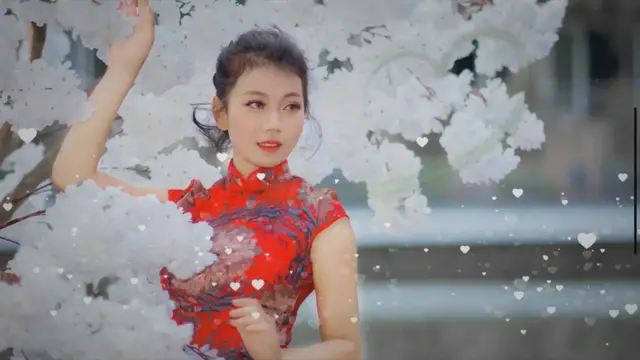 Video thumbnail for Chinese vrouwendroom