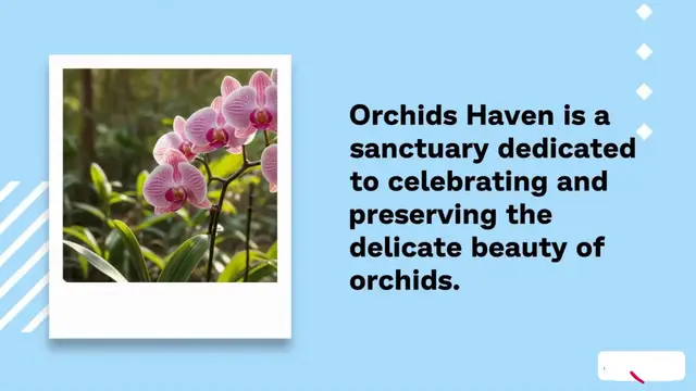 'Video thumbnail for Orchids Heaven'