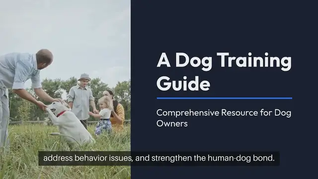 Video thumbnail for Dog Training Guide