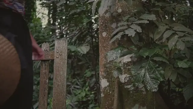 Video thumbnail for Endless Path : Infinite Cosmos / Chapter 2: The Beginning of the End. Part 2/2