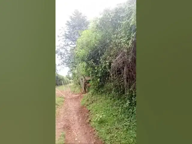 Video thumbnail for Why You you should believe Jesus #johnselephilip