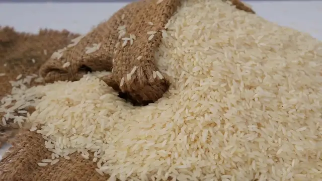 Video thumbnail for Can This Vacuum Sealer Effectively Seal Mylar Bags?