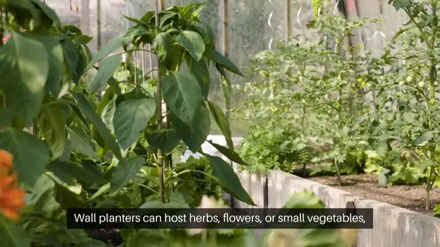 Video thumbnail for Using Garden Structures in Urban Gardening