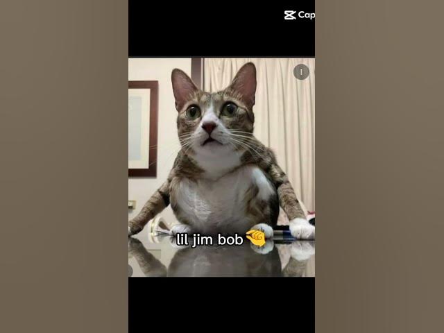 Video thumbnail for Larry will be back...