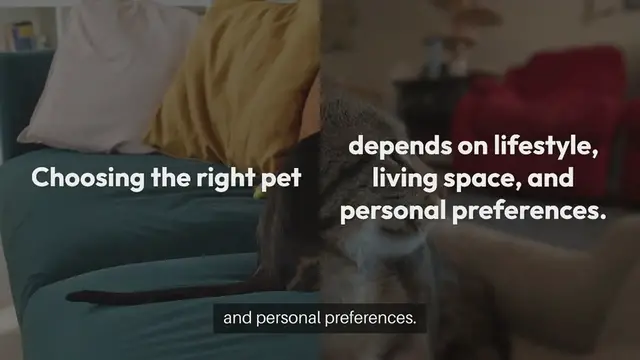 Video thumbnail for Pets For Singles