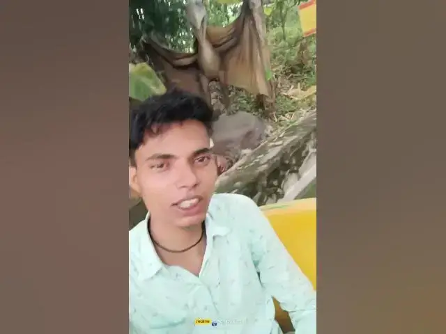 'Video thumbnail for yippee Water Park Nepal 🥰'