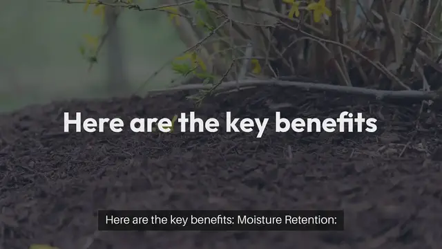 Video thumbnail for Benefits of Mulching for Water Conservation