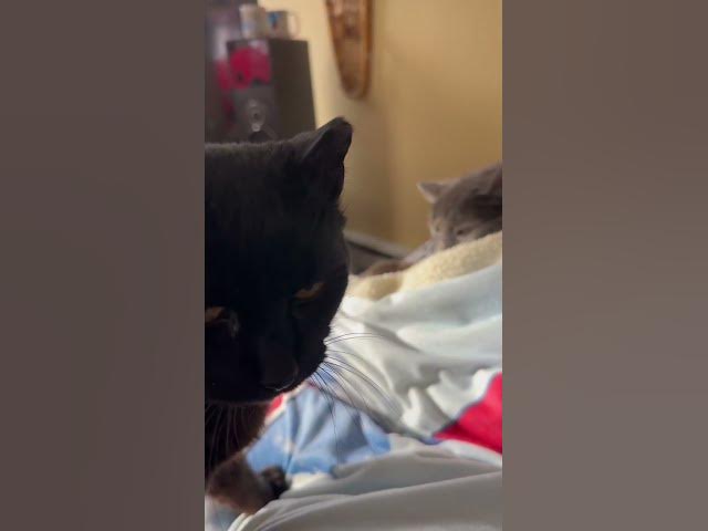 Video thumbnail for Access Denied