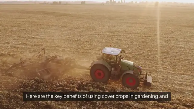 Video thumbnail for Benefits of Cover Crops