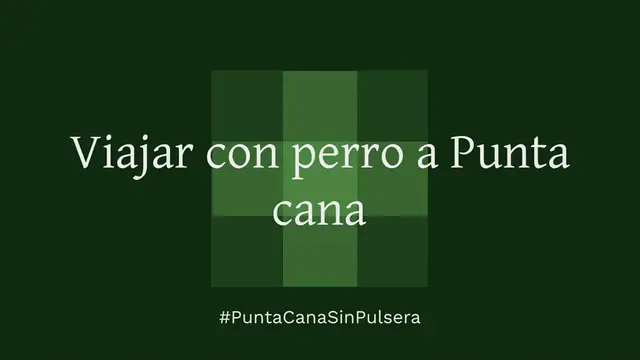 Video thumbnail for Viajar con perro a Punta cana #PuntaCanaSinPulsera