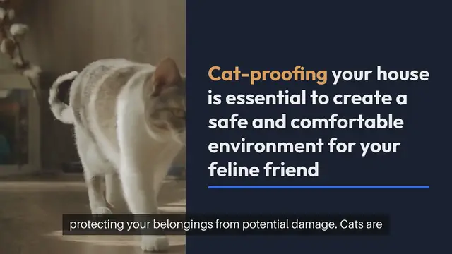 Video thumbnail for Cat Proofing Your House