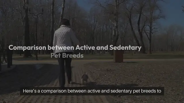 Video thumbnail for Active vs Sedentary Pet Breeds