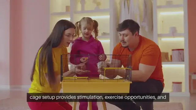 Video thumbnail for Rat Cage Setup Ideas