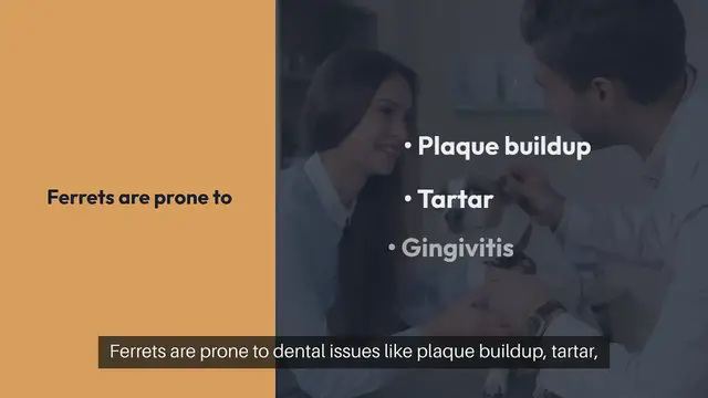 Video thumbnail for Ferret Dental Care Tips