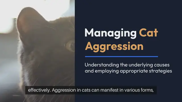 Video thumbnail for Managing Cat Aggression