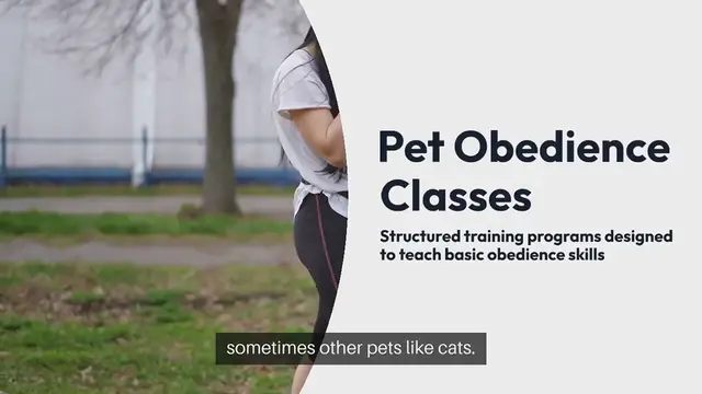 'Video thumbnail for Pet Obedience Classes'