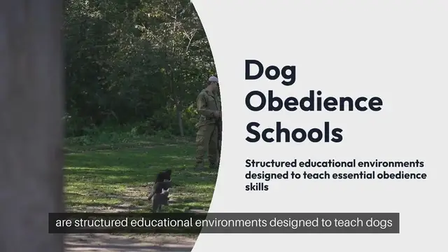 Video thumbnail for Dog Obedience Schools