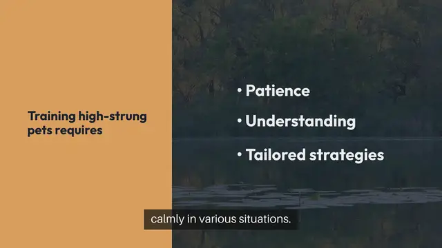 Video thumbnail for Training High Strung Pets