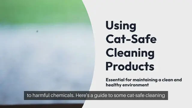 Video thumbnail for Cat Safe Cleaning Products