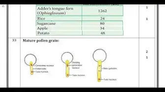 Video thumbnail for 12th Botany (Pure Science) Quarterly Exam Answer Keys 2019-20 | Namakkal District | English Medium