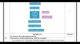 Video thumbnail for 12th Bio-Botany Quarterly Exam Answer Keys 2019-20 | Namakkal District | English Medium