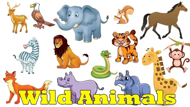 Video thumbnail for Learn Wild Animal Names for Kids | Wild Animals for kids | Learn wild animals names from A to Z