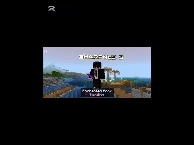 Video thumbnail for #perfect #sword #mincraft