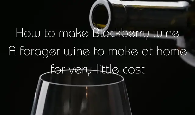 Video thumbnail for How to Make Blackberry Wine a step by step guide