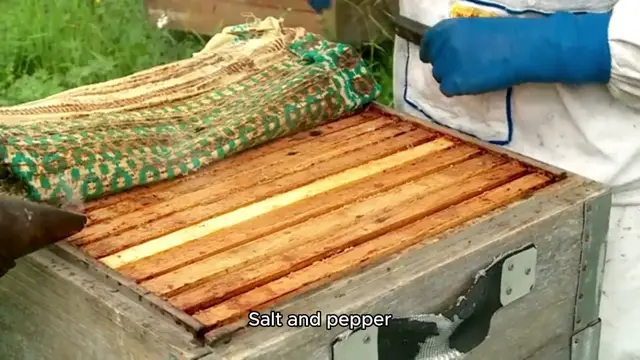 Video thumbnail for basil recipe