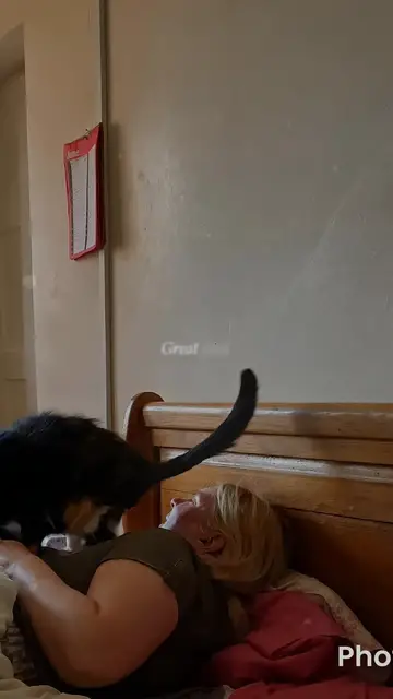 Video thumbnail for Cat