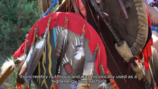 Video thumbnail for pemmican recipe