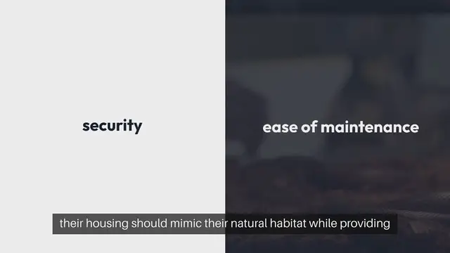 Video thumbnail for Tarantula Enclosure Setup