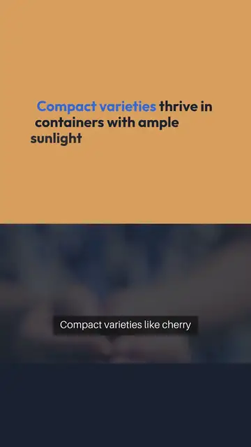 Video thumbnail for Indoor Gardening Vegetables